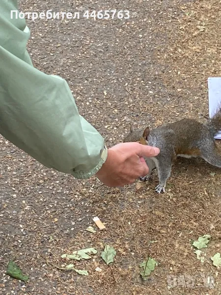 Камера рекордер за автомобил, снимка 1