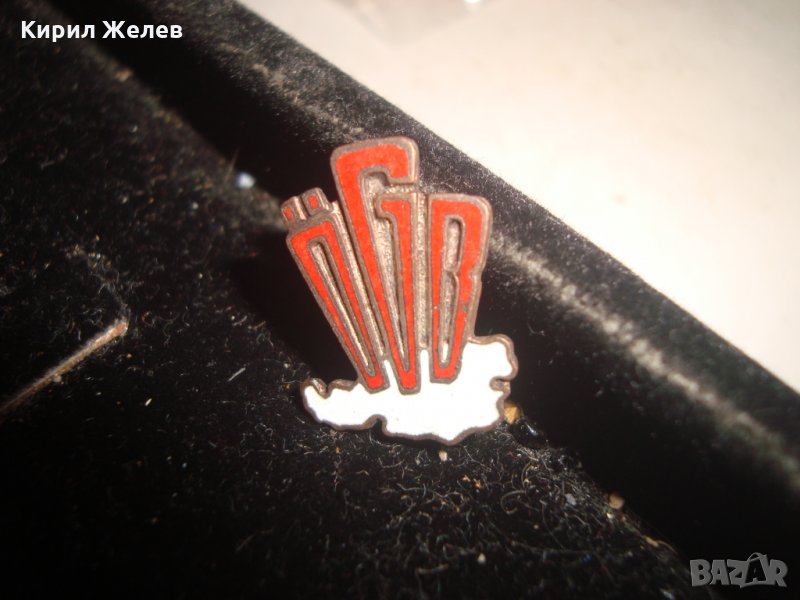 МНОГО РЯДКА ЕМАЙЛИРАНА МИНИАТЮРНА ЗНАЧКА 18176, снимка 1