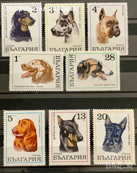 2642. България 1970 = БК 2087 /94 : ” Фауна. Кучета. ”, **, МNH, снимка 1