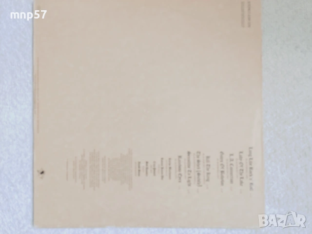 Грамофонни плочи Whitesnake u Rainbow , снимка 7 - Грамофонни плочи - 53875048