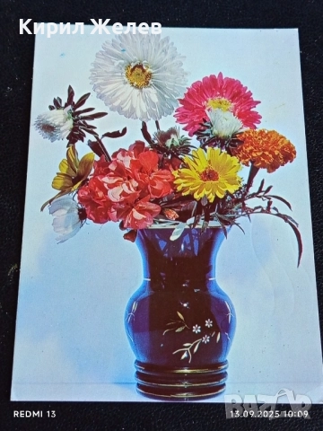 Четири пощенски картички тема ЦВЕТЯ редки от соца за КОЛЕКЦИЯ ДЕКОРАЦИЯ 50862, снимка 11 - Филателия - 51698231