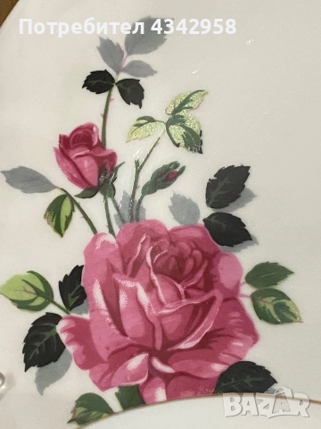 Rheinpfalz Hartporzellan .1951-1970. Порцеланов сет с рози., снимка 4 - Антикварни и старинни предмети - 52179053