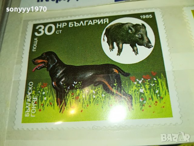 МАРКА 1 НРБ 1985 БГ ГОНЧЕ 1203231010, снимка 7 - Филателия - 39968459