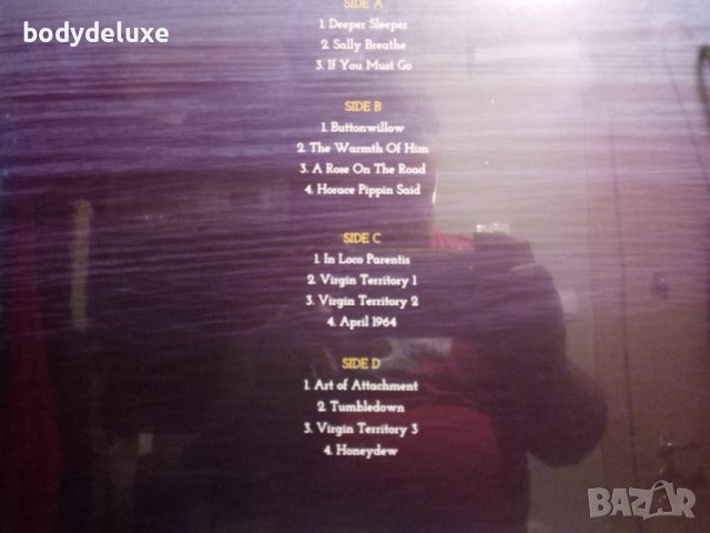 jules maxwell (Dead can dance)"cycles" 2022 плоча, снимка 2 - Грамофонни плочи - 36796206