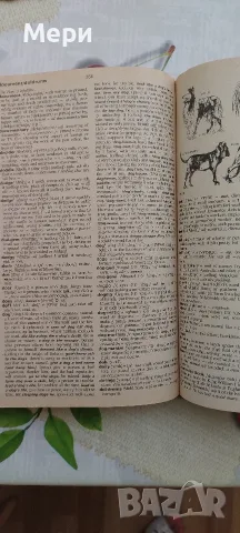 Речник на съвременния английски език за напреднали Oxford, снимка 5 - Чуждоезиково обучение, речници - 55787690