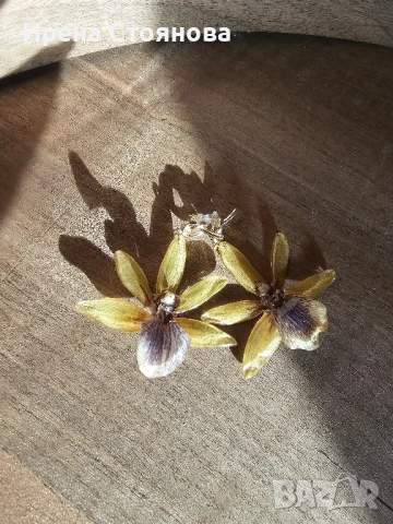 Обеци с естествен цвят на орхидея Камбриа, снимка 2 - Обеци - 52364889