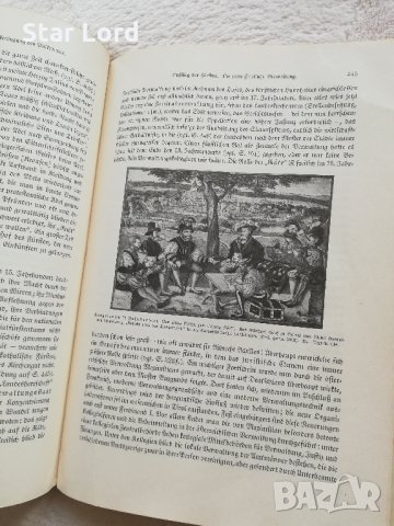 Антикварни книги на немски - 1929 г и 1937 г., снимка 8 - Антикварни и старинни предмети - 30372445