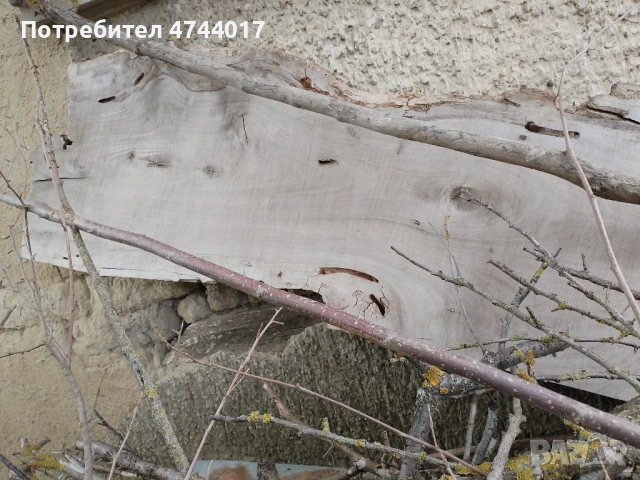 Сухи Талпи от Орех , снимка 9 - Други - 54011466