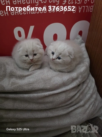 Малки топчици любов