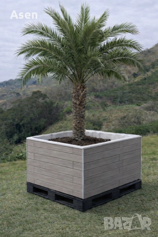 Саксия за голяма палма от IBC контейнер – 1000литра , снимка 4 - Саксии и кашпи - 53181031
