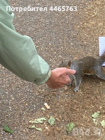 Камера рекордер за автомобил