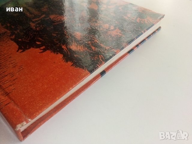 От ловджийската чанта - Рудо Мориц - 1984г., снимка 8 - Детски книжки - 36816560