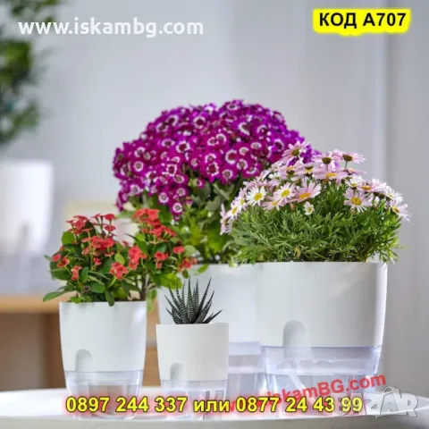 Средна пластмасова саксия с резервоар за вода - КОД А707, снимка 7 - Саксии и кашпи - 50317121