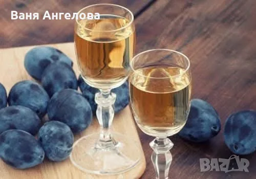 Сини сливи сорт Стенлей, снимка 6 - Други - 56149724