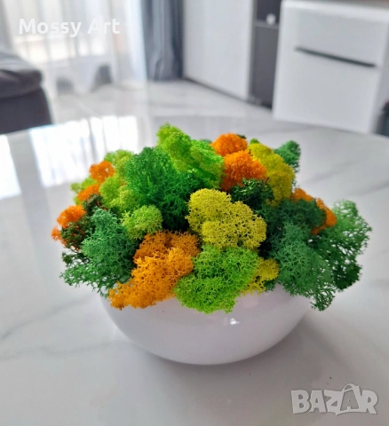 За завършване на учебната година, снимка 12 - Картини - 54212159