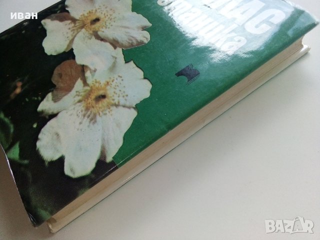 Атлас по Ботаника - Сл.Петров,Е.Паламарев - 1994г.  , снимка 10 - Енциклопедии, справочници - 42277632