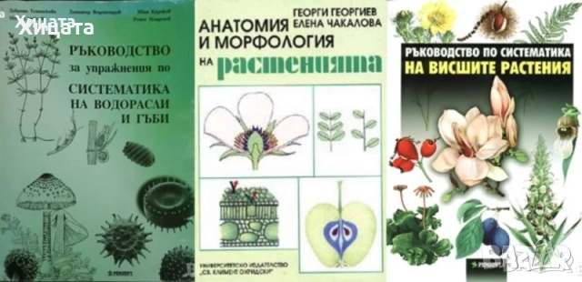Цветя;Цветарство;Диворастящи и култивирани гъби;Орехоплодни;Камъни,кристали;Билки;Водорасли;Гъби   , снимка 2 - Енциклопедии, справочници - 34246502