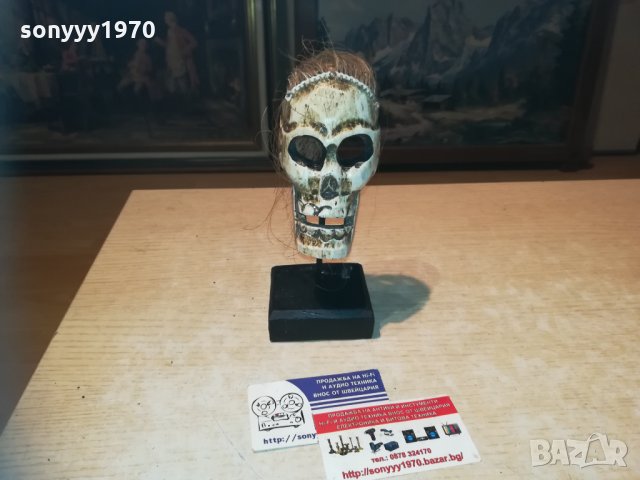 ЧЕРЕП НА СТОЙКА 20Х10Х10см 1311201933, снимка 3 - Колекции - 30778872