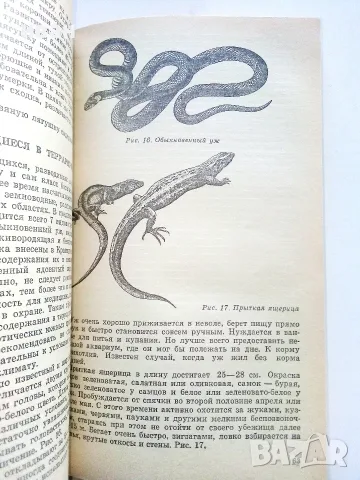 Комнатные  животные - Е.Г.Самусенко - 1983г., снимка 5 - Други - 56378732