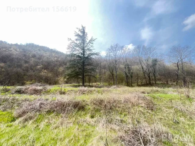 Продавам парцел 4 612 декара , снимка 4 - Парцели - 56296910