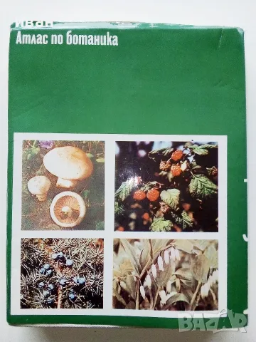 Атлас по Ботаника - Сл.Петров,Е.Паламарев - 1994г.  , снимка 8 - Наука, техника и компютри - 42277632
