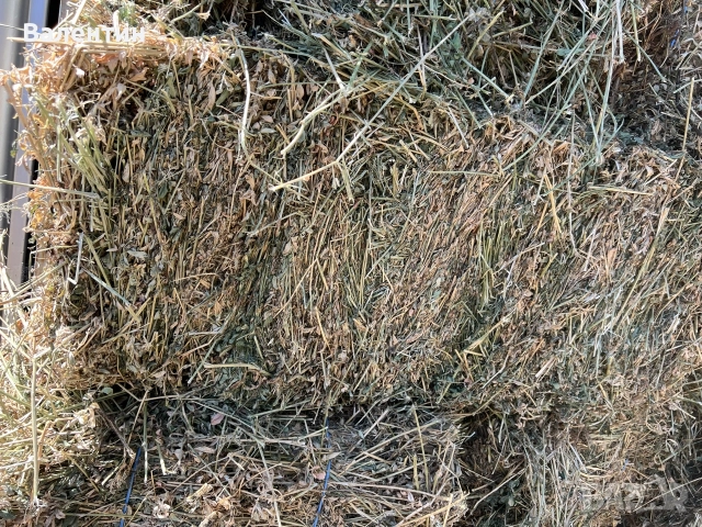 Продавам бали люцерна 3ти откос, снимка 6 - За селскостопански - 55451301