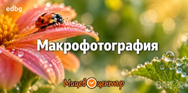  Уъркшоп Макрофотография, открий малкия свят с фотоапарат или смартфон, Курс по фотография 