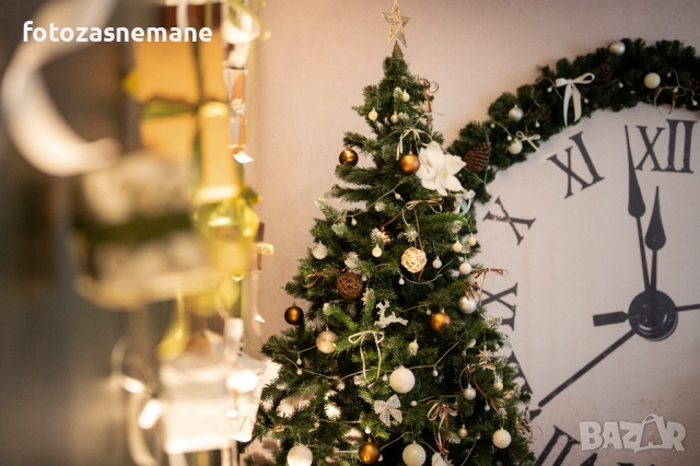 Коледни Фотосесии София, снимка 3 - Фотографи - 52461769