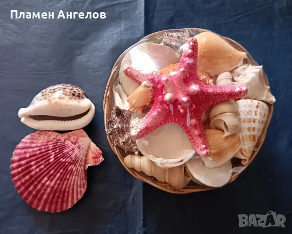 Кошница с екзотични раковини +още 2 броя. , снимка 2 - Декорация за дома - 56205936