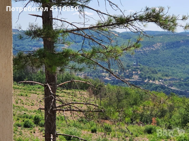 Къща Велико Търново, снимка 2 - Къщи - 45931174