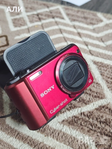 Sony H70