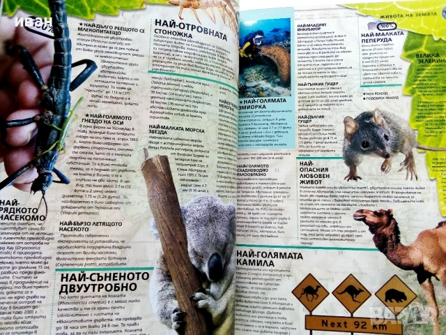 GUINNESS WORLD RECORDS 2008 - с флуоресцентни страници, снимка 3 - Енциклопедии, справочници - 53110317