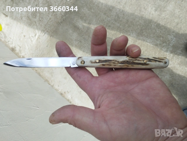 Дегустатурска ножка 