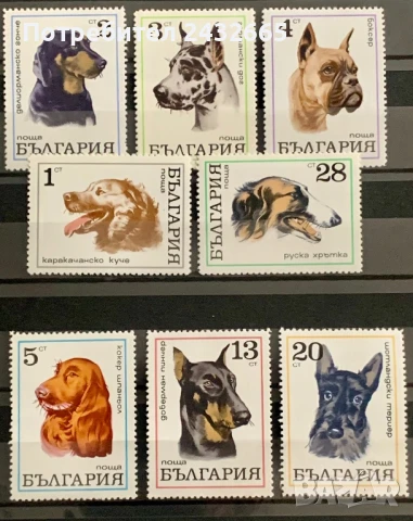 2642. България 1970 = БК 2087 /94 : ” Фауна. Кучета. ”, **, МNH, снимка 1