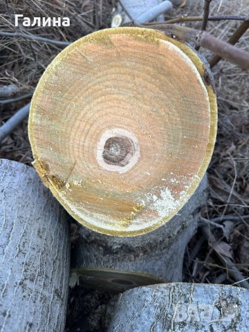 Продавам дърва орехи , снимка 6 - Други - 44178141