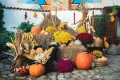 Есенна декорация-царевичен сноп, снимка 6
