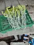 Продавам мурсалски чай, снимка 2
