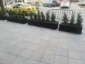 Бетонни саксии, снимка 2
