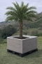 Саксия за голяма палма от IBC контейнер – 1000литра , снимка 4