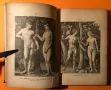 Стара Книга Изкуство История на Изкуствата Алвин Шулц 1884 г. на Немски, снимка 2