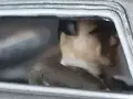 Колекционерска количка 007, снимка 13