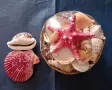 Кошница с екзотични раковини +още 2 броя. , снимка 2