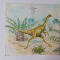 Детска книжка за динозаврите Страшните гущери, снимка 2 - Детски книжки - 39447570