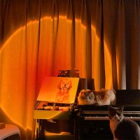 Лампа проектор - залез Sunset Lamp 10W LED, снимка 2 - Други - 40186946