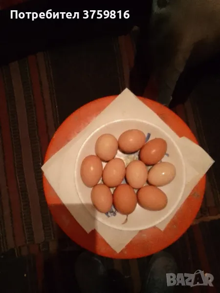 Домашни яйца, снимка 1