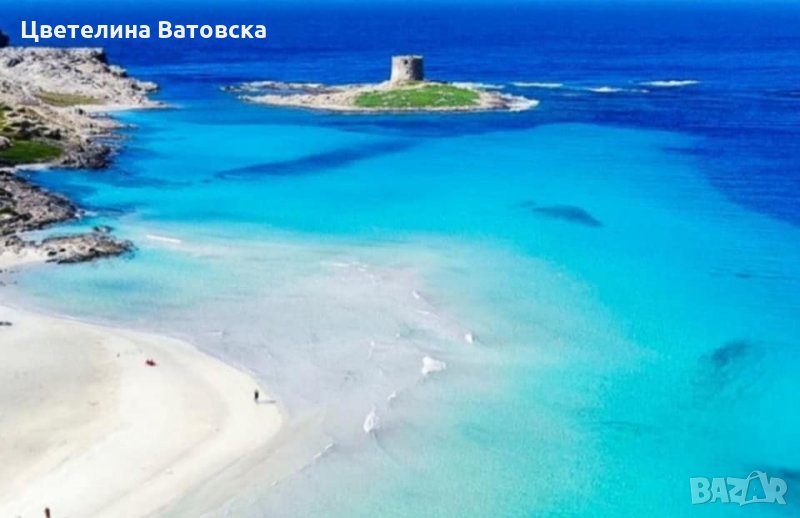 Етерично масло от резене, снимка 1