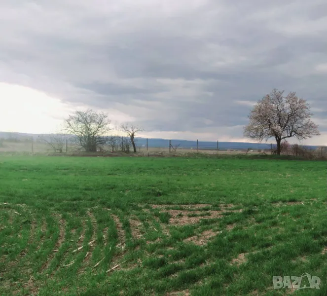 Продава панорамен парцел в регулация в с.Кривня, снимка 1