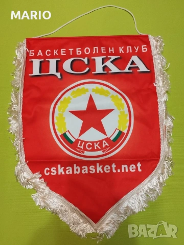 Флагче на ЦСКС