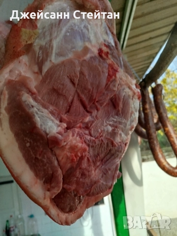 Прясно свинско месо, снимка 8 - Прасета - 52547331