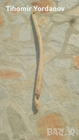 Кобилица за менци., снимка 13 - Антикварни и старинни предмети - 51229432